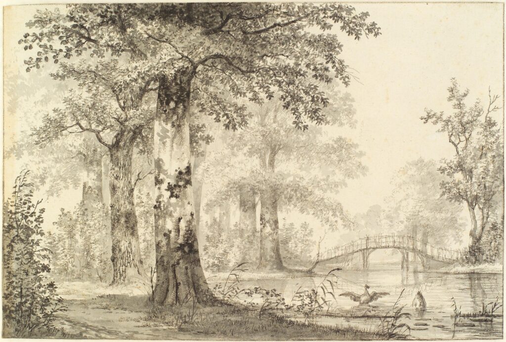 Haagse Bos door kunstenaar Hendrik Gerrit ten Cate 1832