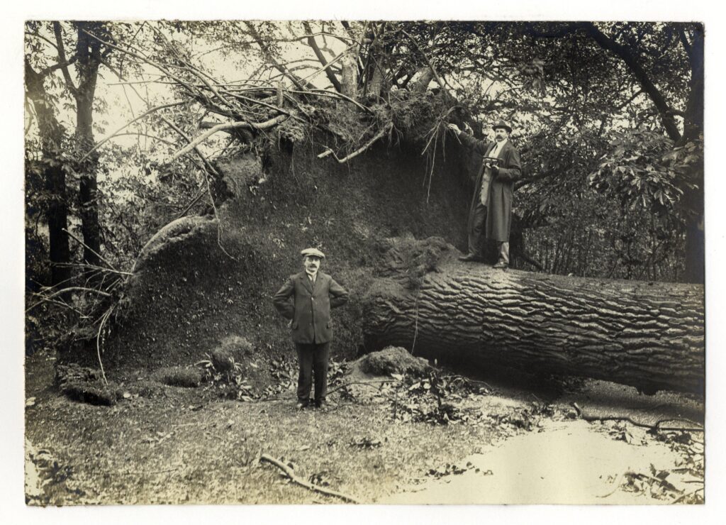 Stormschade in het Haagse Bos. 1911, fotograaf J. Bockstart