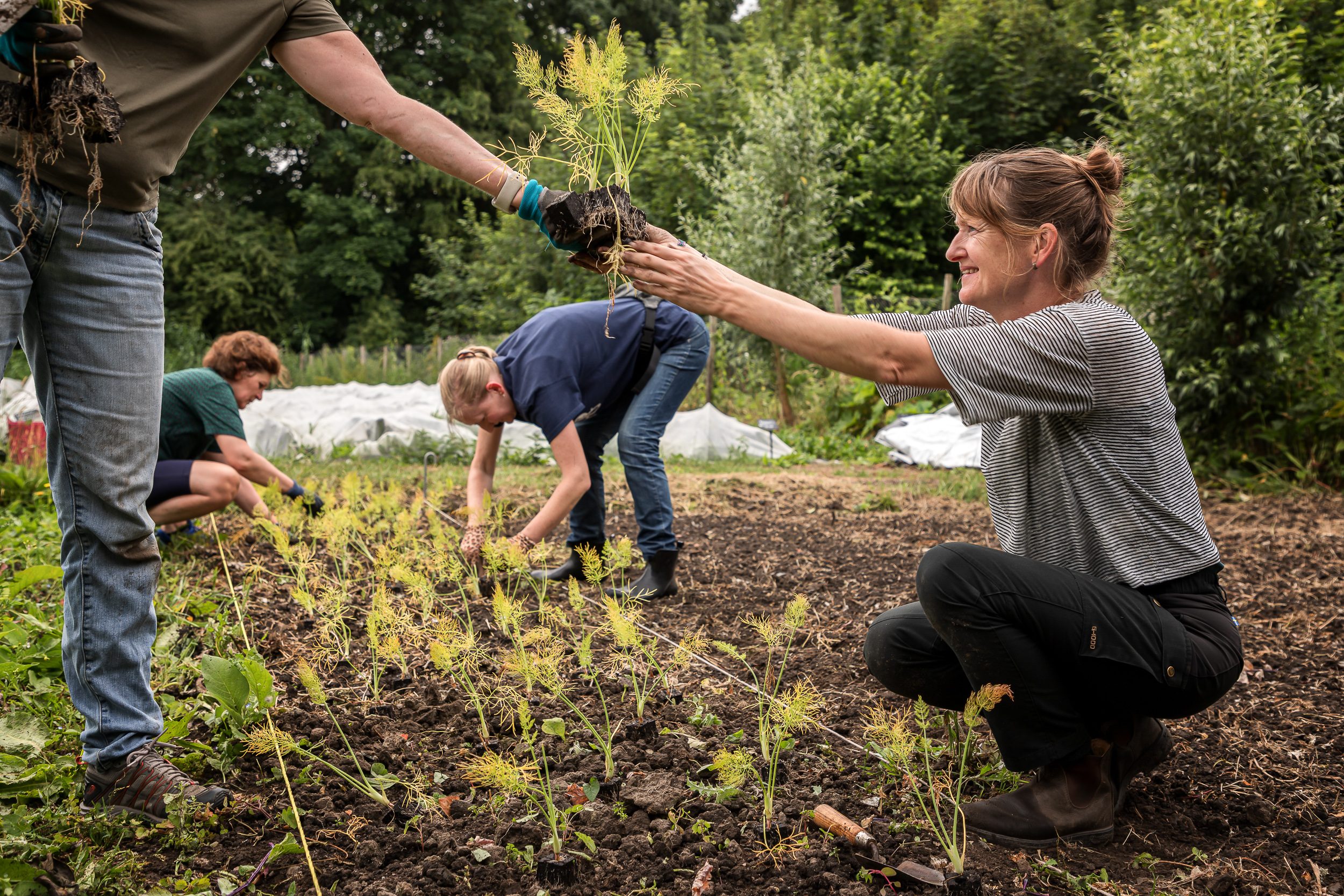 Oogst-Moestuin. Foto Marco Rutten.