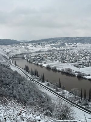 PROEFPAKKET - Aspergewijnen Pfalz/Rheinhessen 'Eintal' (4x3 flessen)