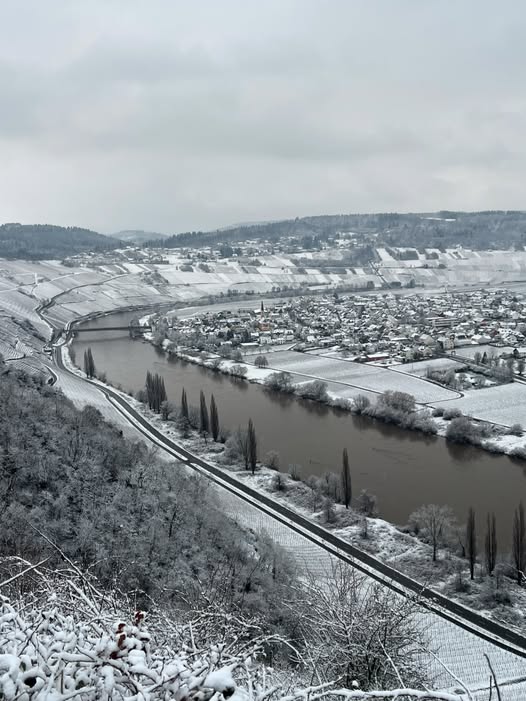 PROEFPAKKET - Aspergewijnen Pfalz/Rheinhessen 'Eintal' (4x3 flessen)